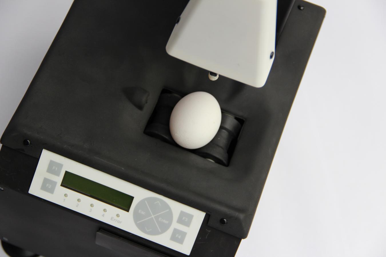 Columbus高通量蛋品质分析仪