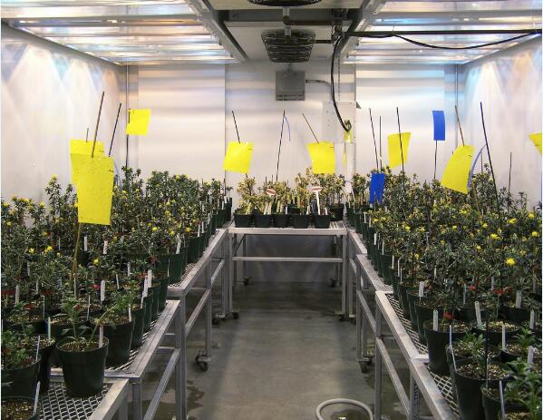 美国EGC植物生长箱-步入式植物生长箱