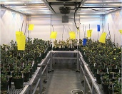 EGC 植物培养室GR系列