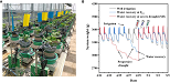 科学家利用Plantrarray系统发表园艺领域草莓功能生理表型研究文章