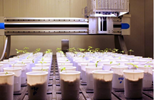 科学家利用WIWAM高通量植物表型平台发表几丁质介导的植物生长文章