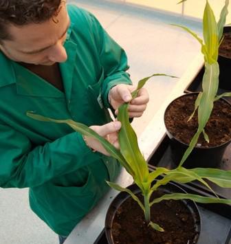 1524469445814962.jpg VIB.jpg