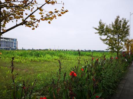 1542077528278961.jpg 2.jpg