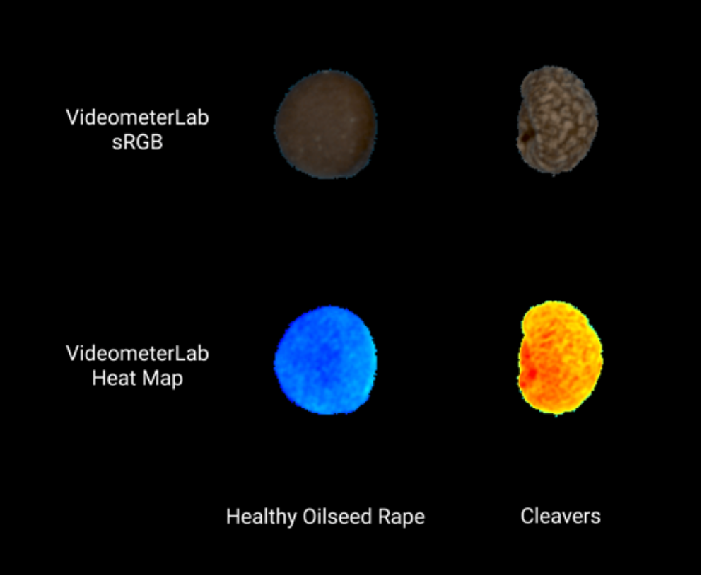 1647250721840486.png 1647250721840486.png