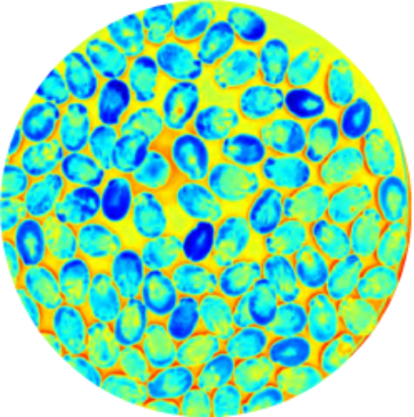 1647250787632321.png image.png