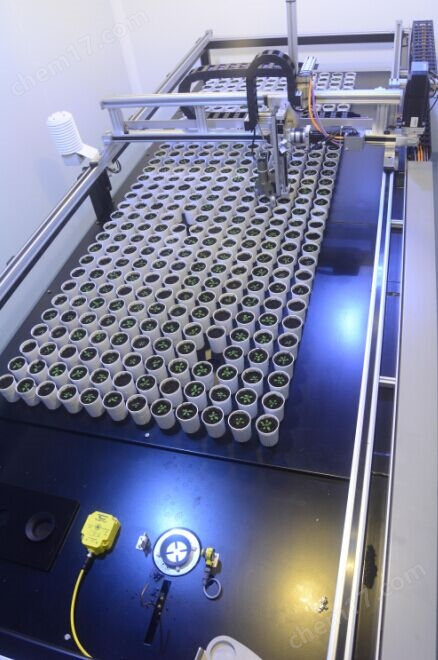 WIWAM XY植物表型成像平台