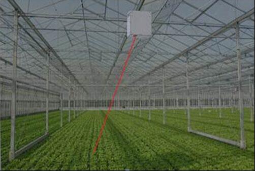 土壤仪器叶绿素荧光分析仪成像温室