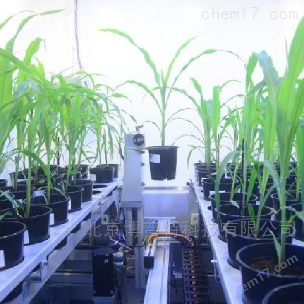 WIWAM Line植物表型成像平台