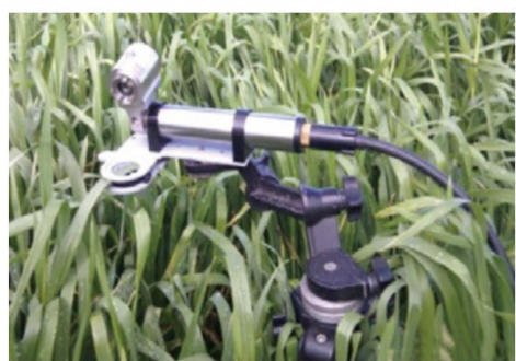 Aquation叶绿素荧光自动监测仪